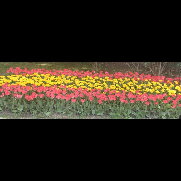 Meet your Posher, Maria - Picture 1 of 1